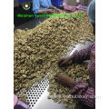 Walnut Kernels Light Pieces competitive price